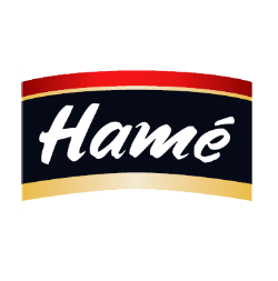 Hame