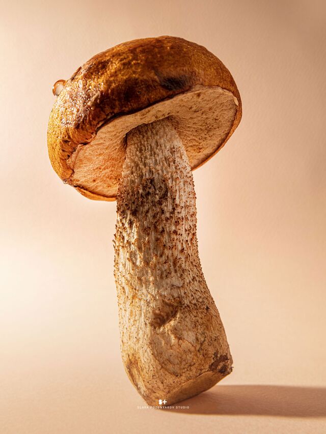 Фотосъемка белого гриба. Постер белый гриб. Фуд-стилист и фотограф Слава Поздняков. 